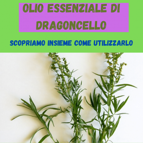 Olio essenziale di estragone