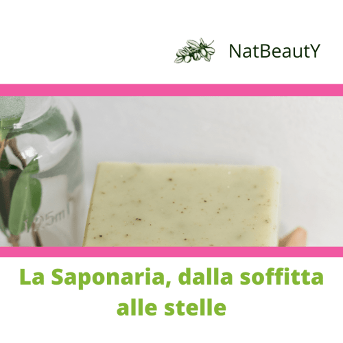 La Saponaria