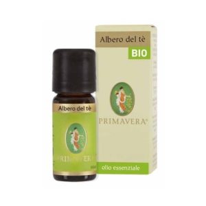 Olio essenziale albero tè